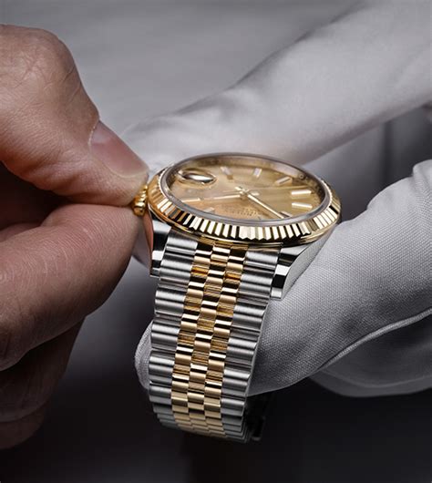 rolex distribuidor|Rolex official site.